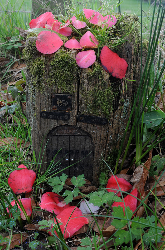 Furzey Gardens New Forest Fairy Door 'Beetle Bar'